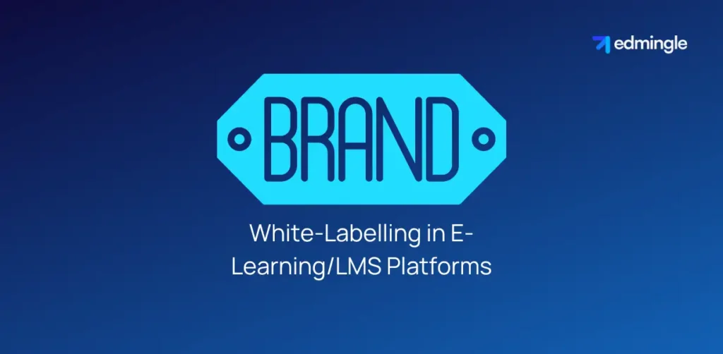 White-Labelling in E-Learning/LMS Platforms