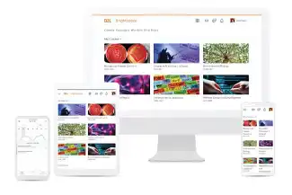 D2L Brightspace